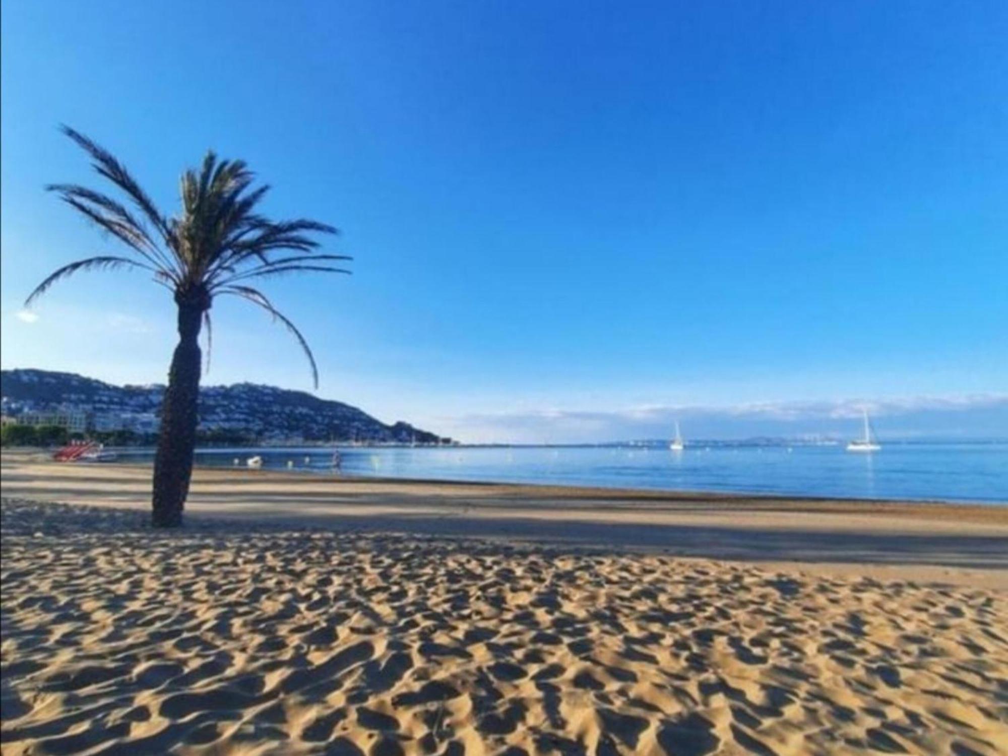 Apartment 2189 Rocmar 3 3-c, Excelente Situacion Frente Al Puerto Pesquero Y Con Vista A La Bahia. Gran Terraza. Gran Parking Publico Delante. - Es-258-59
